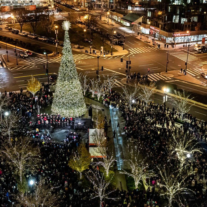 CityCenterDC To Kick Off 2022 Holiday Season with its Ninth Annual Tree