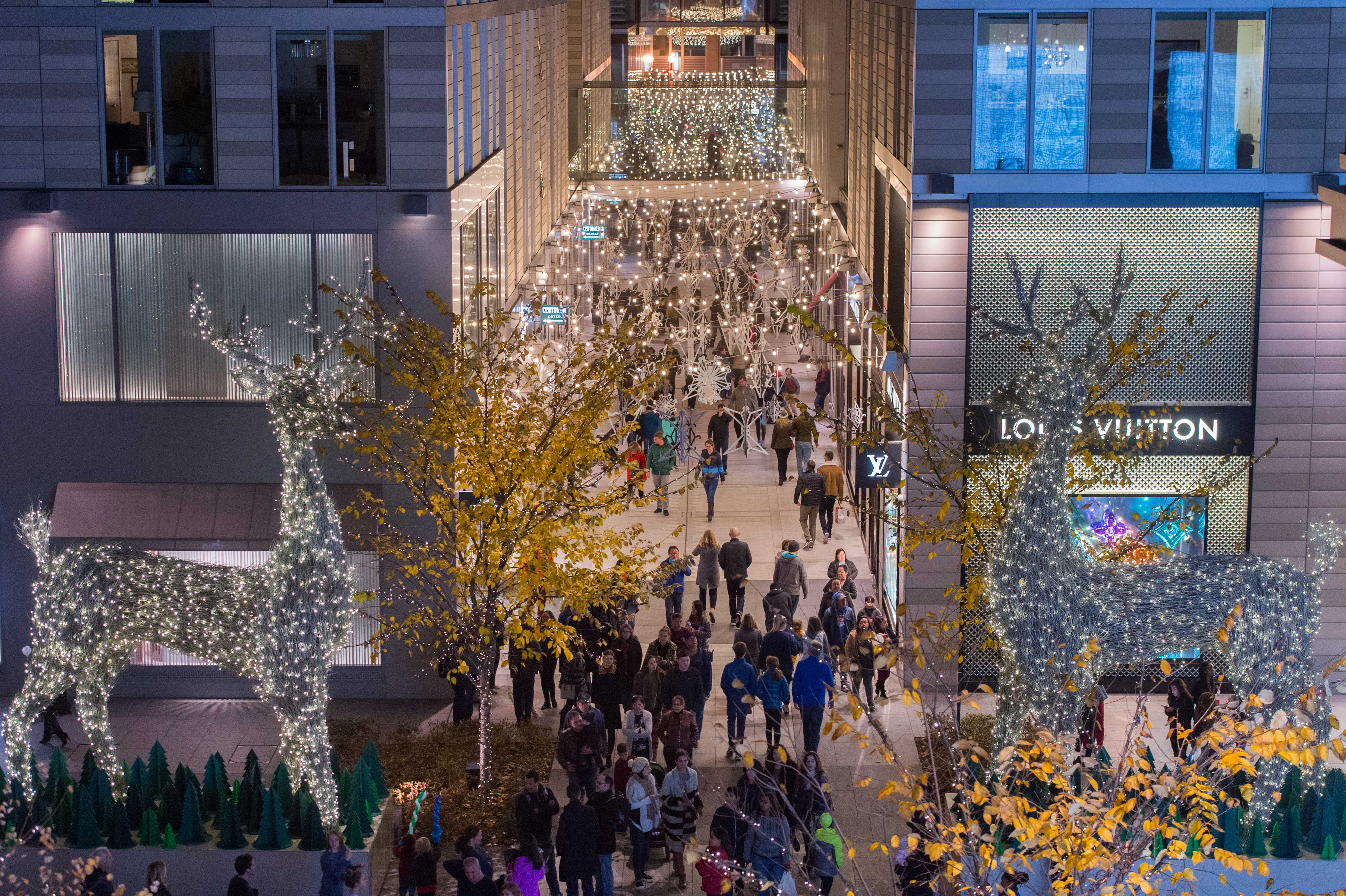 Tree Lighting Palmer Alley Reindeer CityCenterDC